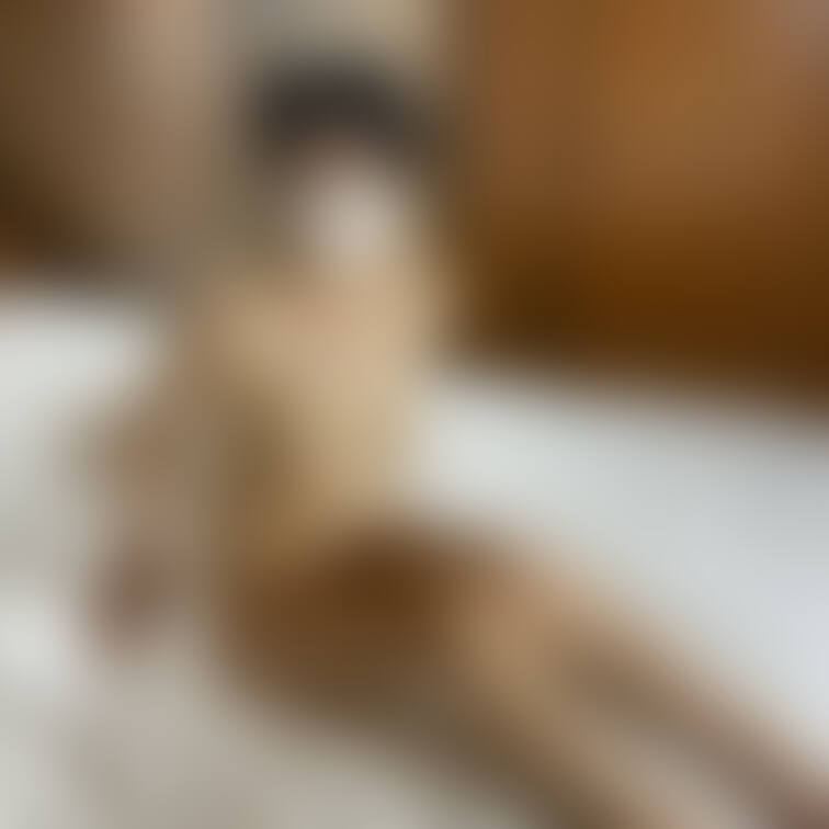 ○○○国宝○○○乳ママしおんちゃん