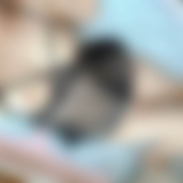 生活感あるベッドで、このコスチュームはなんだかえっちですね( *´艸)💜

