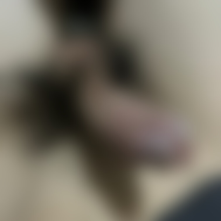 無題の投稿