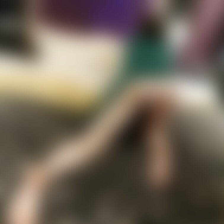 解説しちゃいけない画像👧🏻