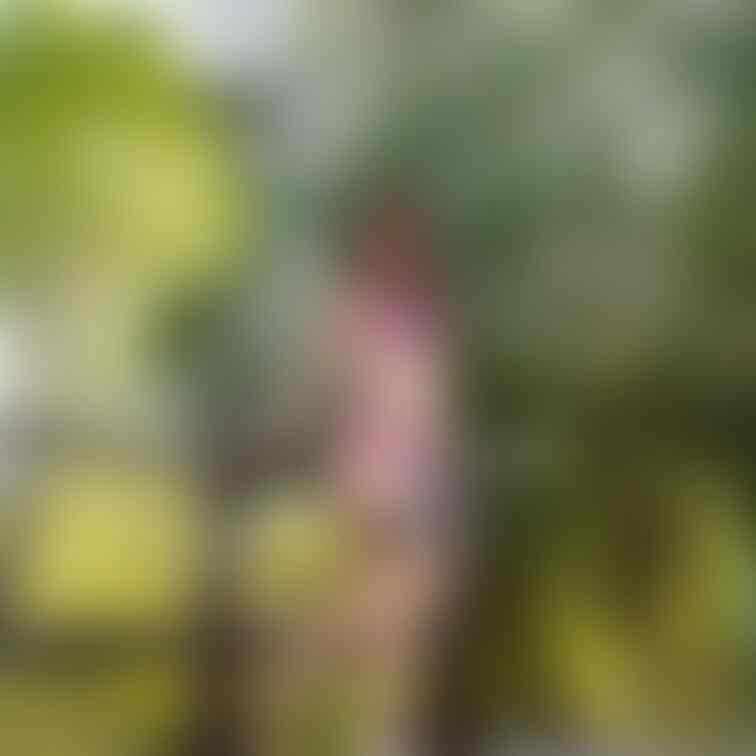 過去の削除写真の再投稿です。(2023年6月投稿)
山のコテージで・・・②