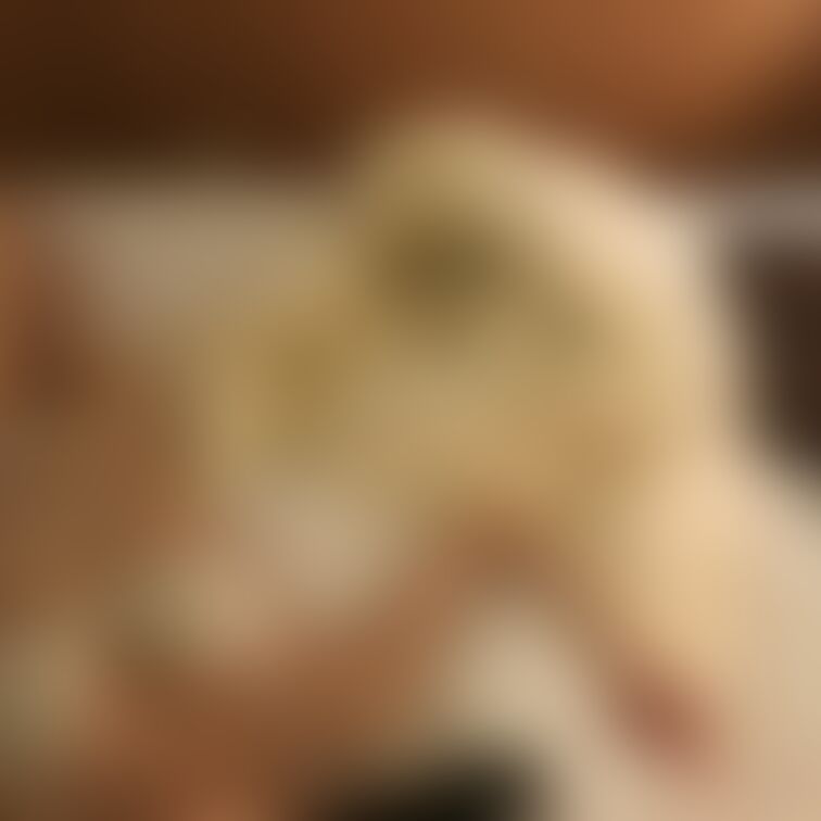 ほうしちゃん