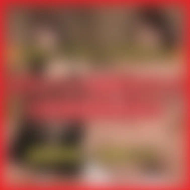 🔥Hカップ/ヒップ100cm🔥
元タレント爆美女OLのM男顔面騎乗責め

元タレントの爆美女お姉さん。
Hカップ