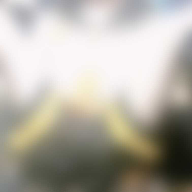 永久保存品・:*+.\(( °ω° ))/.:+
Xの方はしばらくしたら消える予定ʕ•