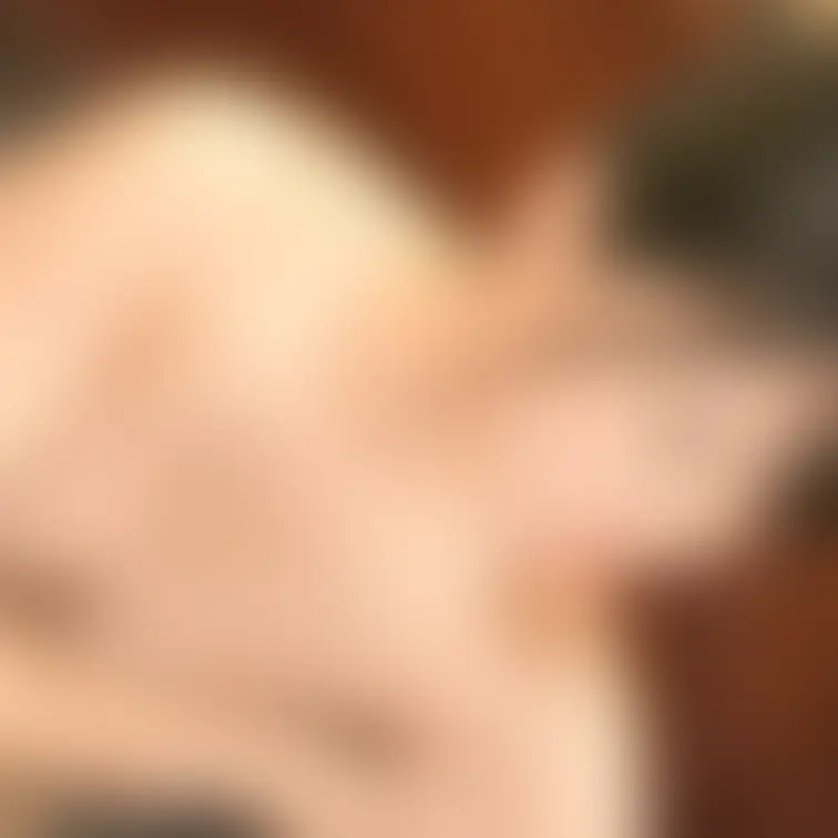 ほかほかの♨️