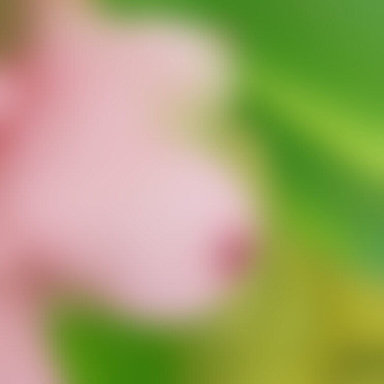 iPhoneのカメラで撮ったらいい感じ♡
お風呂中♡