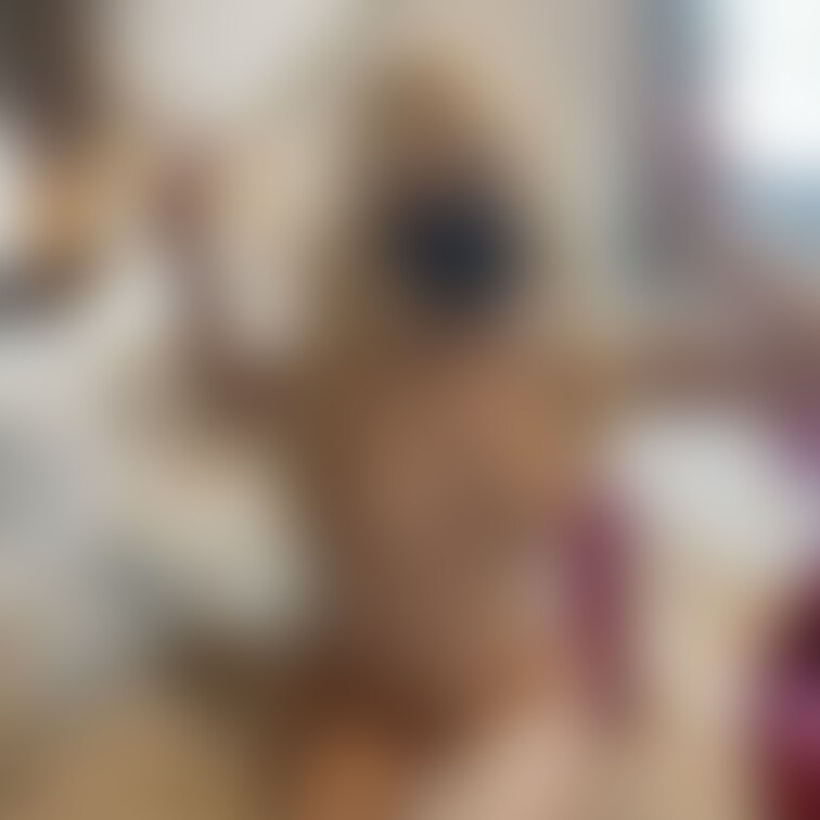 コスプレ❤️せっ○す❤️はめはめ❤️

こすぷれしてえ○ち///

にあう？