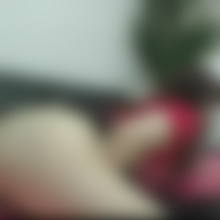 後ろからが好きです