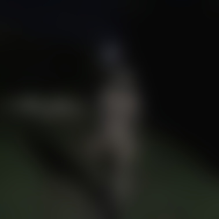 股穴あき全身網タイツで深夜の公園散歩

この野外露出動画はこちら♡
https://myfans.jp/posts