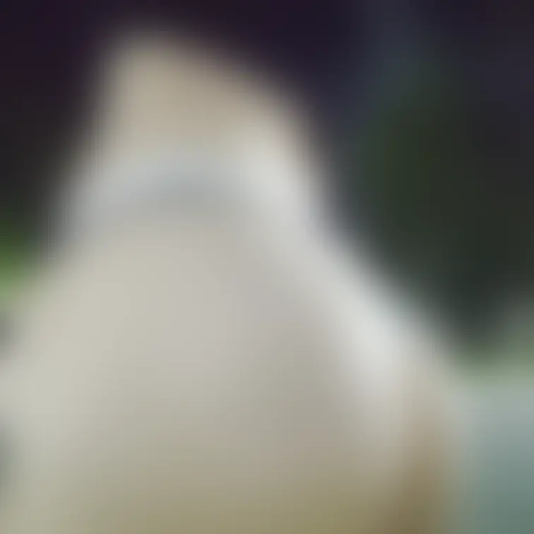 なんか見えてんね?