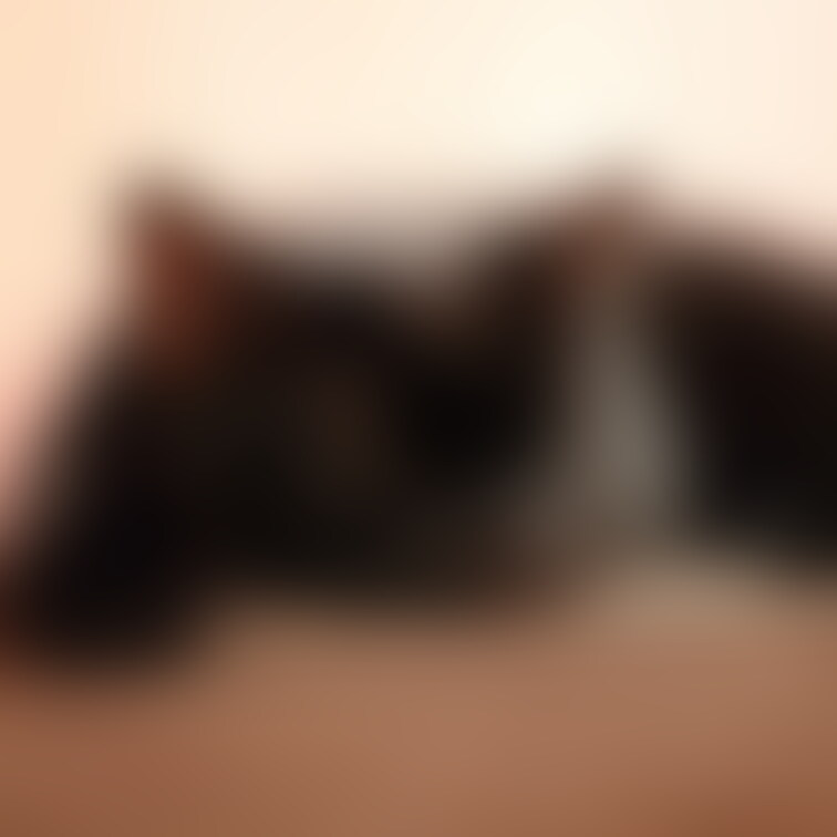 あいりちゃんくっきーちゃんと!
あいりちゃんから針刺し⚡
↓↓↓パスワードは画像みてね
https://2.gig