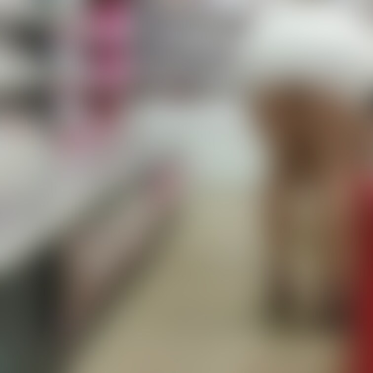 アダルトショップで
ミニスカ巨乳OLを見つけたら
まずはゆっくり近づき
背後から様子をうかがい
姿勢を低くして