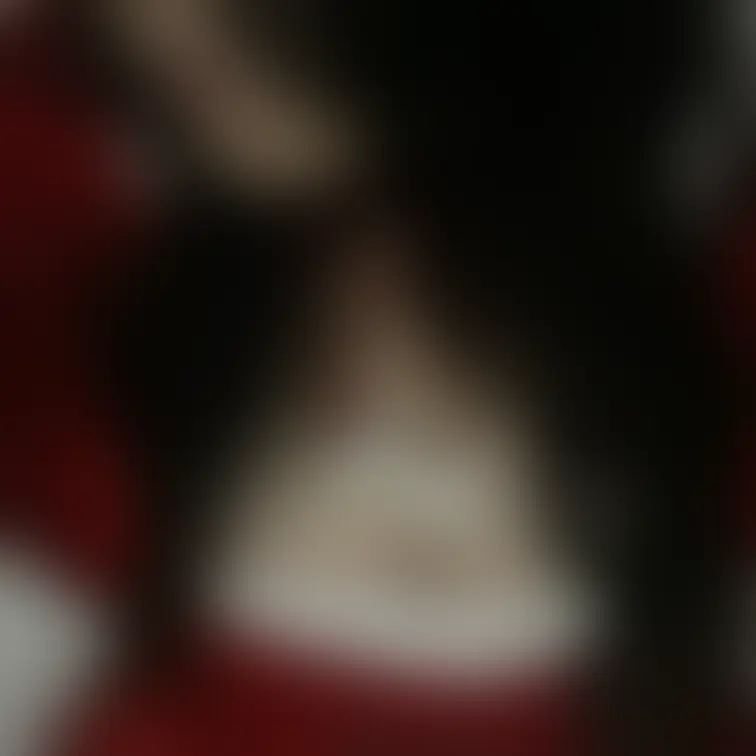 サンタ🎅