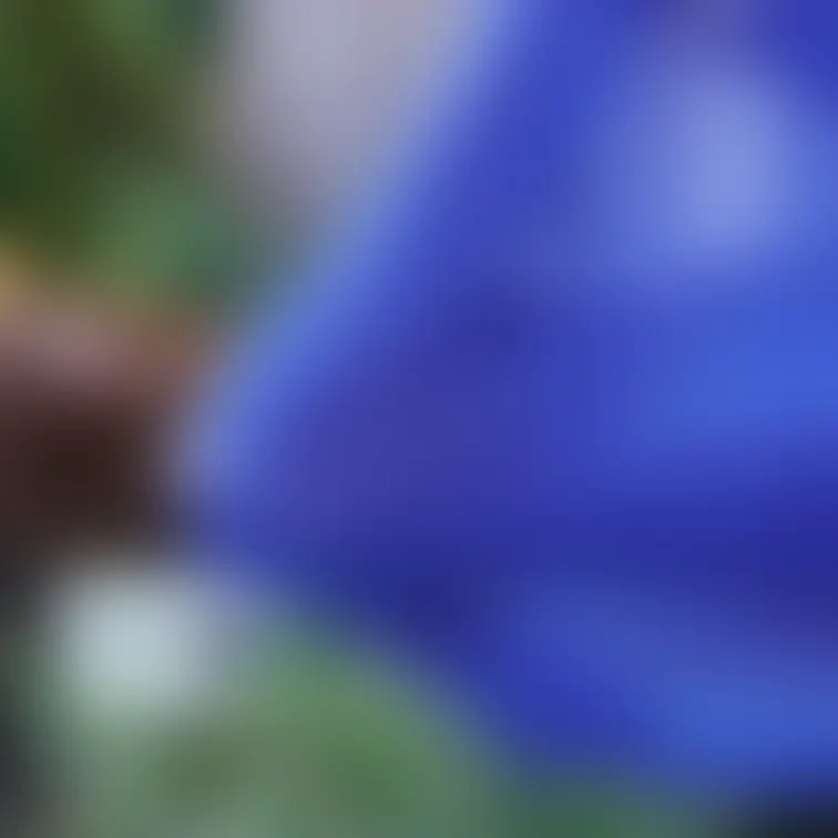 これから公園露出するぞ~ってやつ
この後、いろいろしちゃいました///
上の白い服はもともと私服で、それを乳
