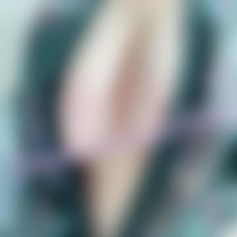 ちょっと見えてる？🤔