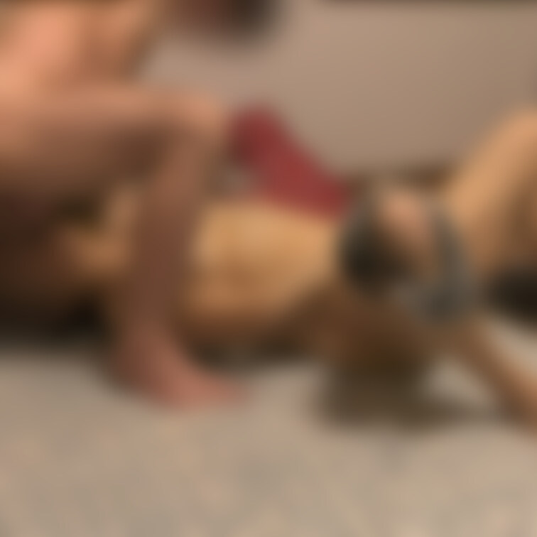 お早う御座います🖐️ 新しい映像シリーズ🖐️
Twitterで前半投稿済み８回目です🖐️
 本日も宜しくお願いします