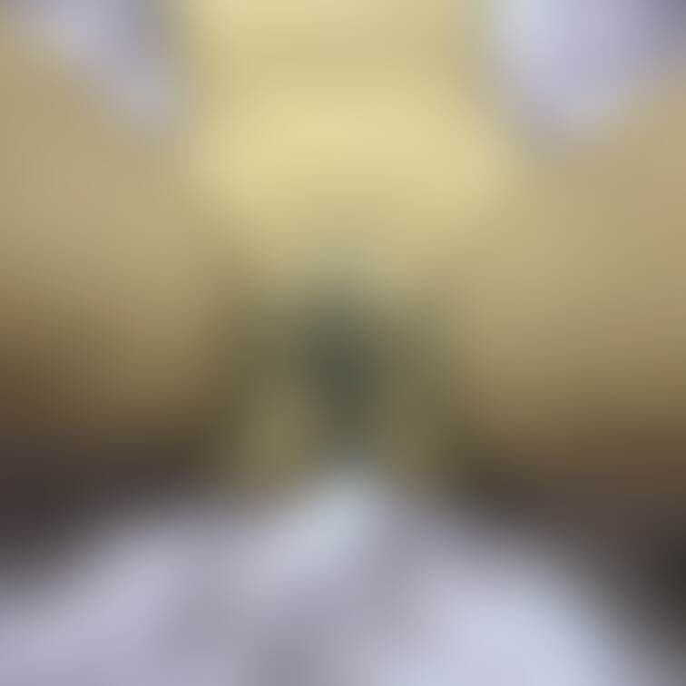 【リクエストシリーズ】
ユイのマン毛成長日記🧡 
1
定期的に毛の成長を記録していきます🫶
剃りたい部分は剃りま