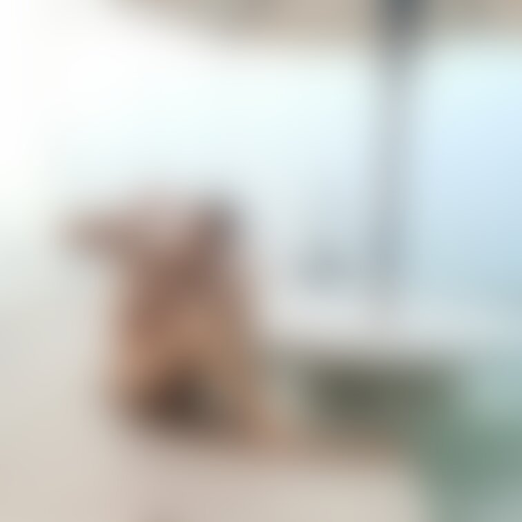 沖縄旅行の宿泊先での写真📸
Part②