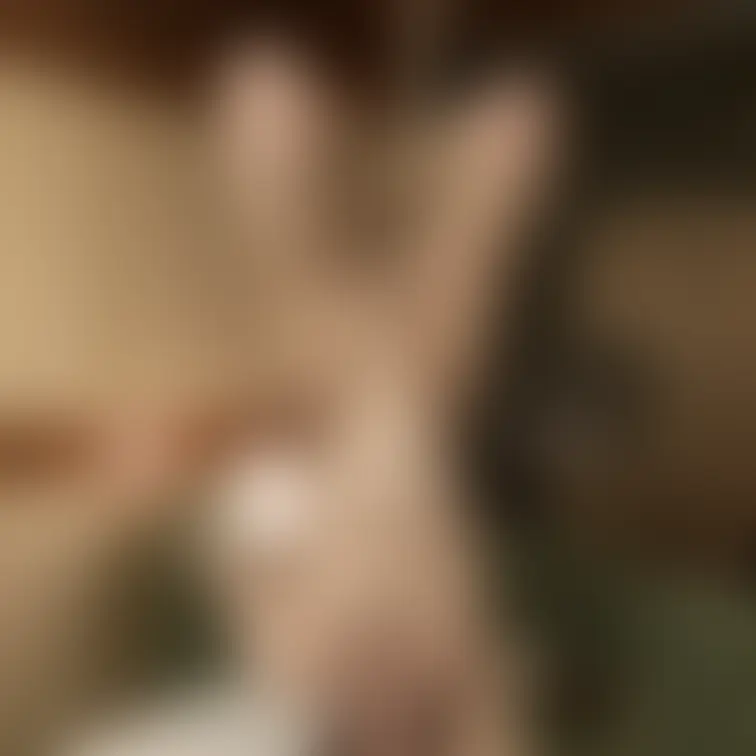 逆さ✖️鉄砲縛り✖️胡座縛り