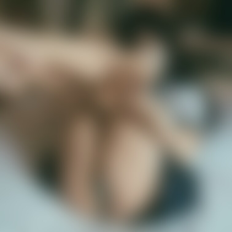 〈いいね♡〉 が活動の励みになります❗️
ポチッとお願いします😍
