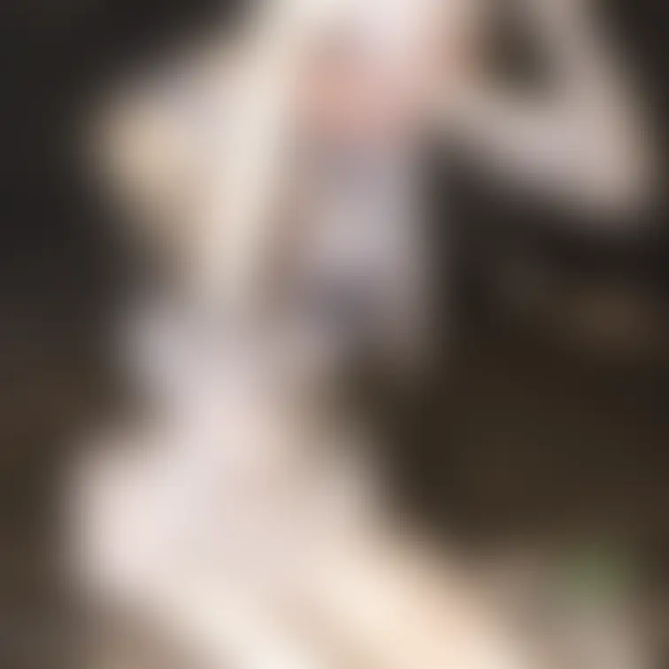 【アイドル系の女の子の銀粉撮影】
超可愛いアイドルにいそうな女の子が銀粉メッシーに挑戦してくれました!
メッシー