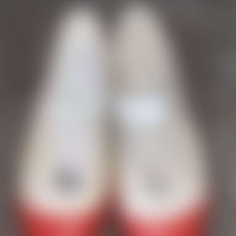 ゾロヒポグリフ🔞【靴ぶっかけ👠💦垢】 有料プレビュー1