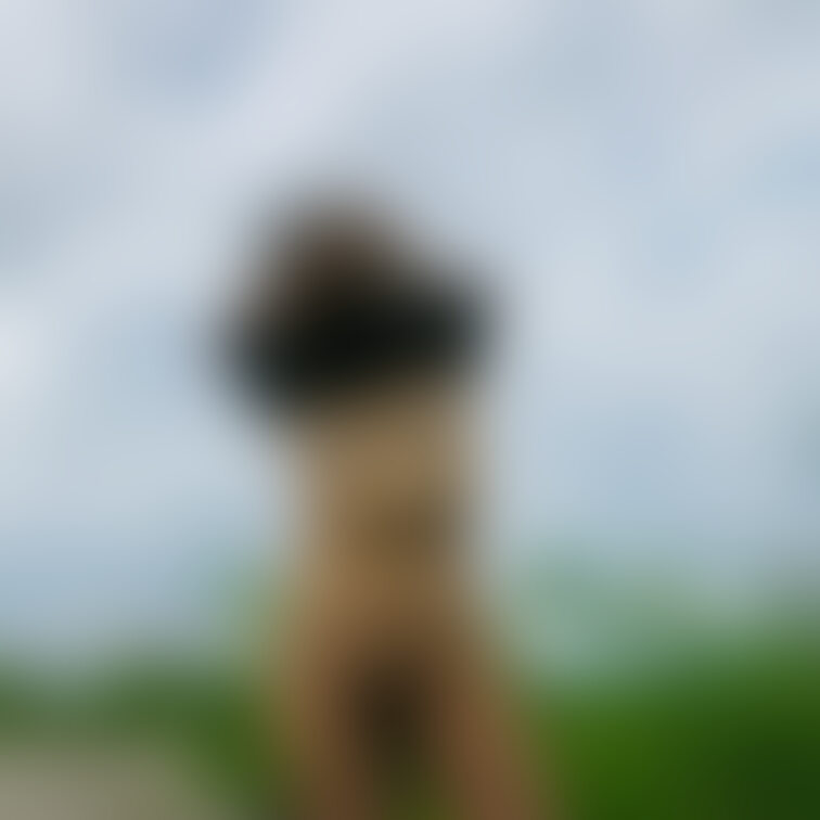 最後の一枚脱ぎましょう