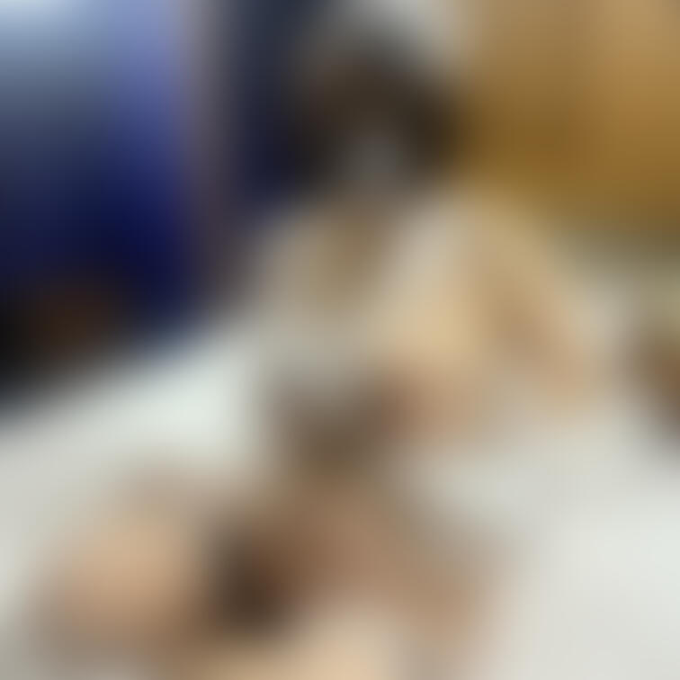 ○○○声優国宝妊婦ののかちゃん（臨月）