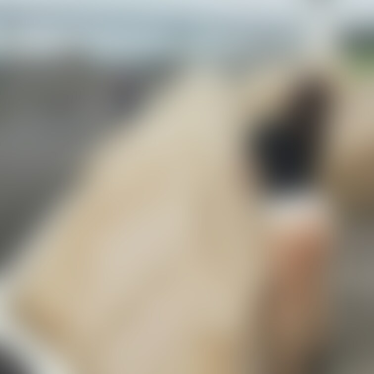 海浜公園露出