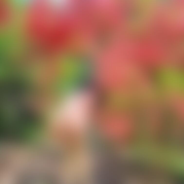 まちのお尻を褒めてくださったフォロワーさんのために❤️