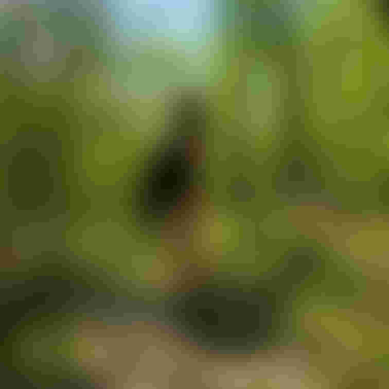 虫が気になって長時間の撮影に応じてくれません。