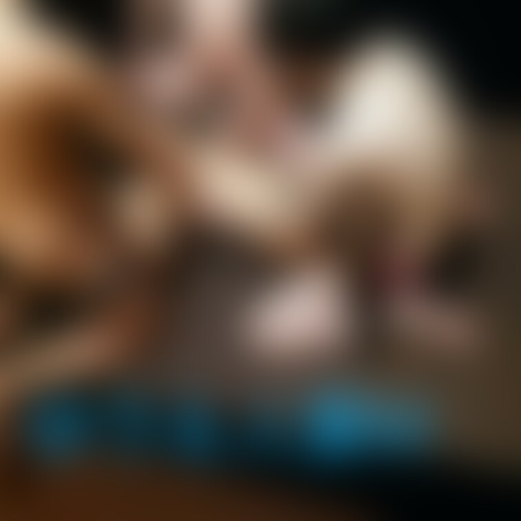 ぶっかけ企画の写真です。
Twitterではセンシティブの警告出るのでこちらに投稿します。
お手軽プランでは1月31