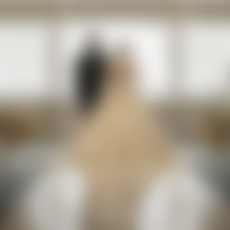 結婚式の写真