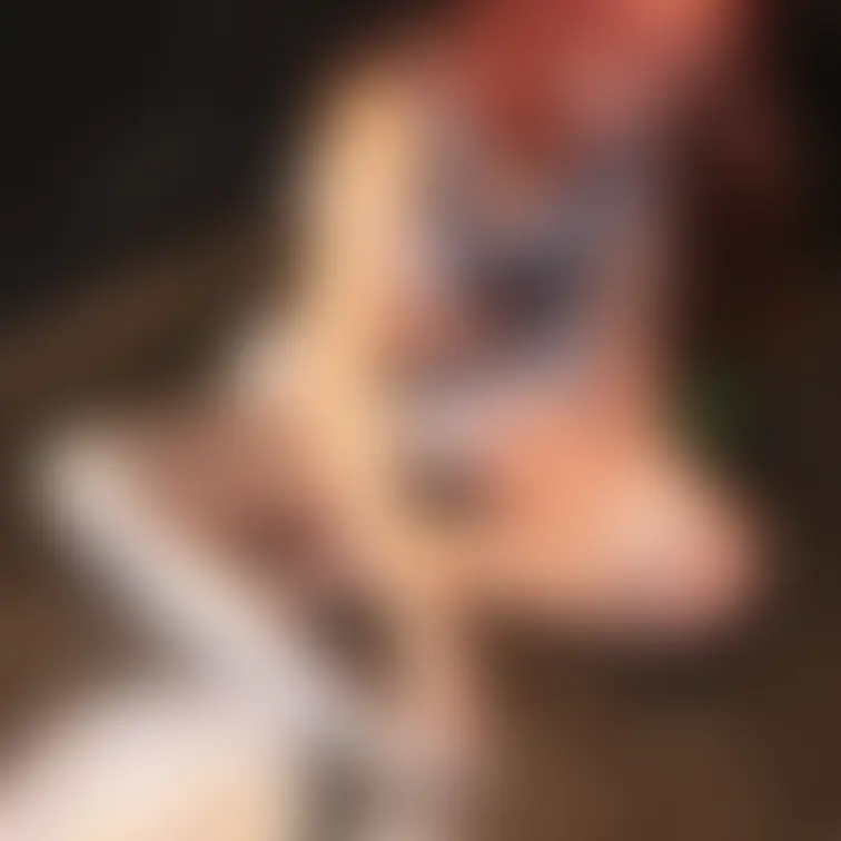 【アイドル系の女の子の銀粉撮影】
超可愛いアイドルにいそうな女の子が銀粉メッシーに挑戦してくれました!
メッシー