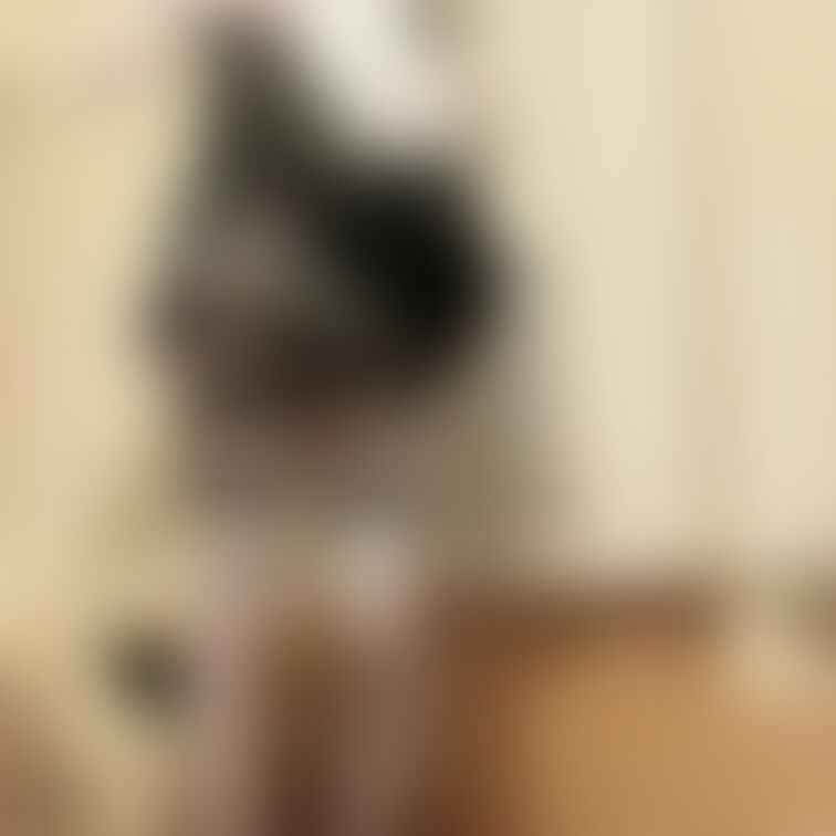 すみませんでした・・・でも・・・少しだけ言い訳させてください・・・
お主人様の言いつけ通りに、お洋服と、下着の色を合わ