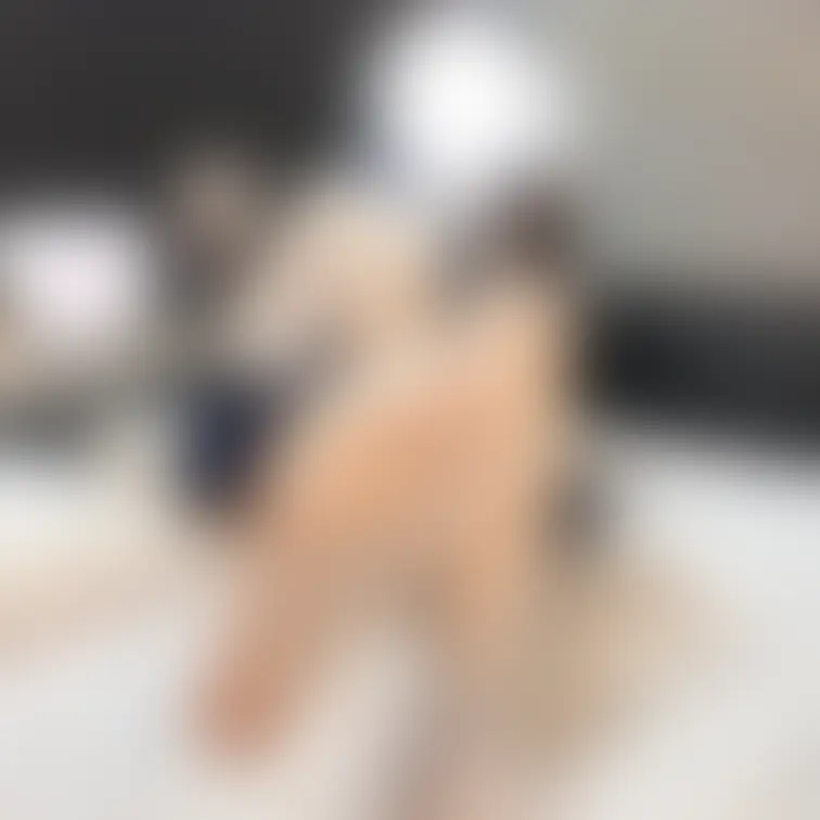 おけつ🍑です
この足で何したい?
なめたい?クンクンしたい?
やっぱり踏まれたり、足コキがいいのかな?