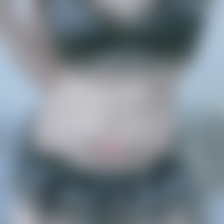 淫紋タトゥーシール付けたばーじょん