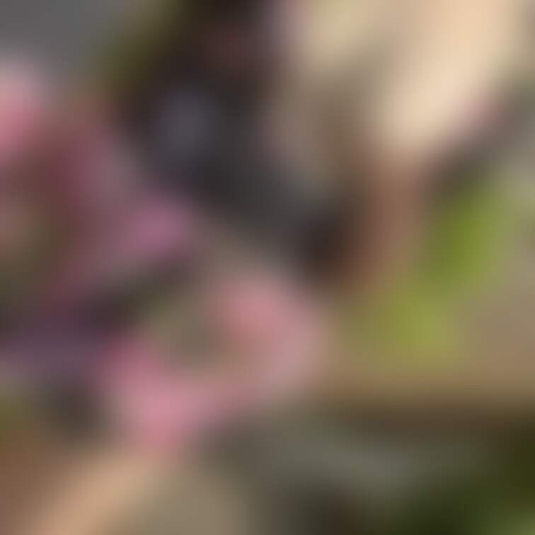写真5枚
西日に照らされた身体からは汗がタラリ
光がキレイなので肌の質感が良く見えるから、拡大しないでください///