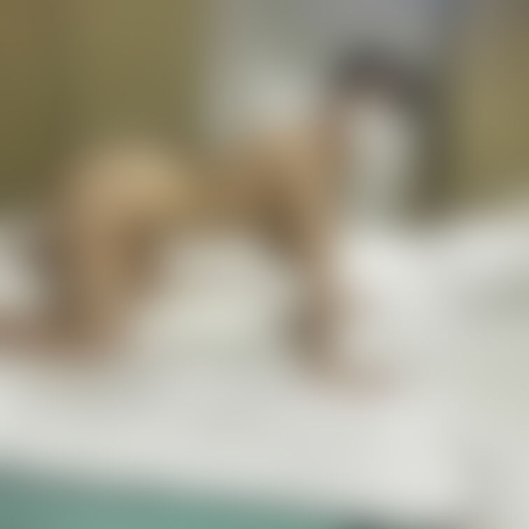 ○○○Iカップ国宝○○○乳ママしおんちゃん