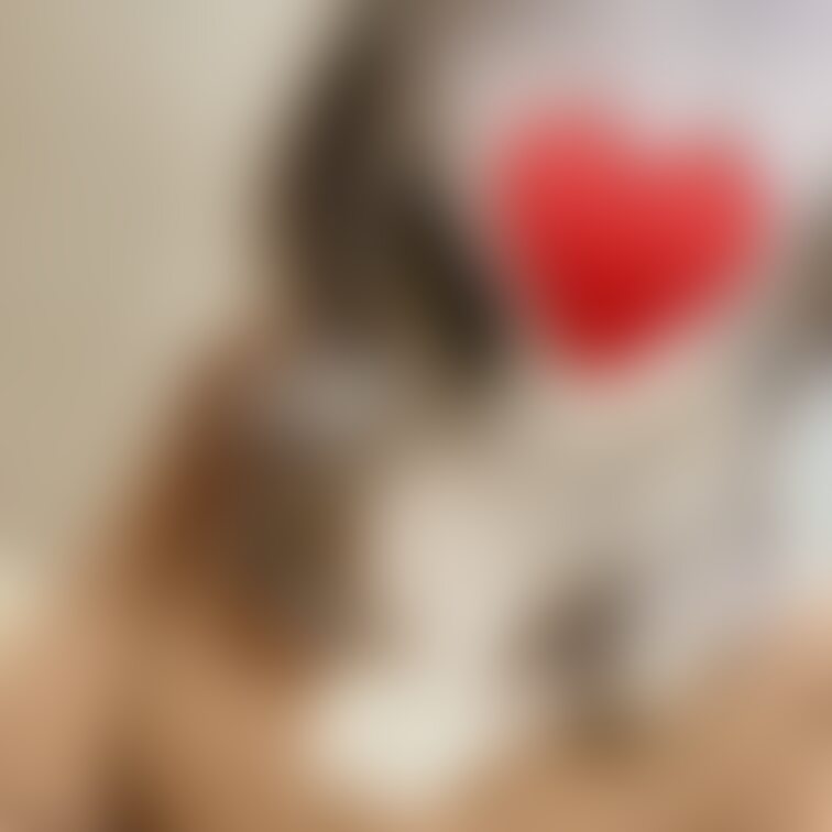 またまた新しいプラン作ったよ💕(*´ω`*)💕
新しいディルド欲しくてお〇にーしたいからたくさんのご支援・お精子お待ち