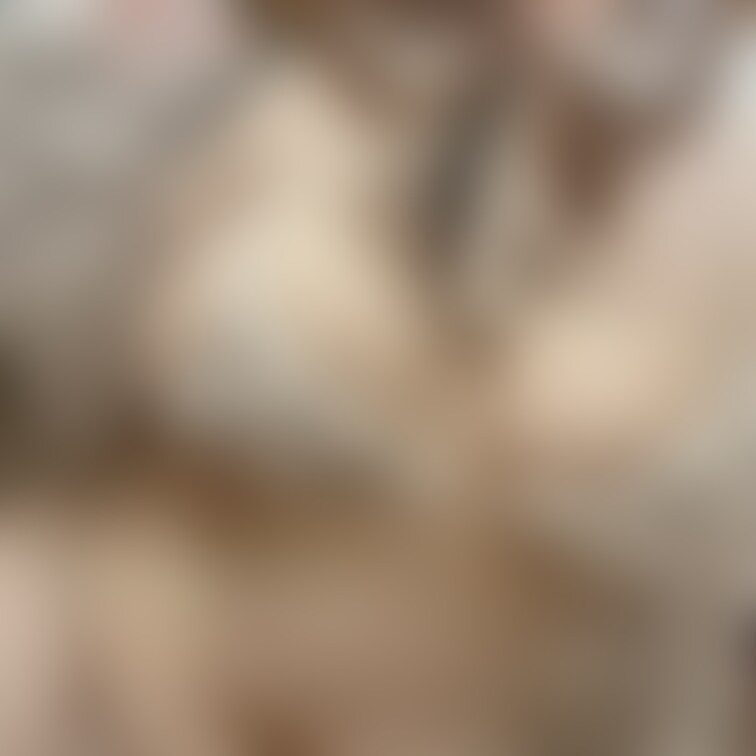 もふムチちゃん🤍🤍
