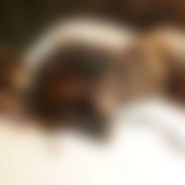 今年ありがとうございました、来年もよろしくお願いします。
よいお年をお迎えください!!