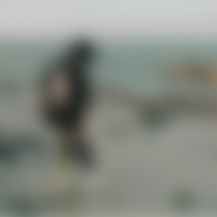 海〜〜🐬🏝
