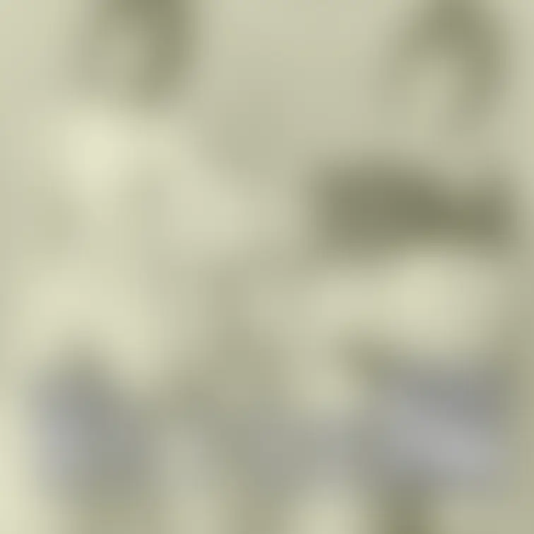 White編🤍ちらっと💕