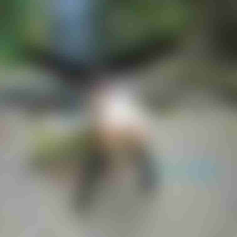 これって誘ってますよね？
欲しがってますよね？