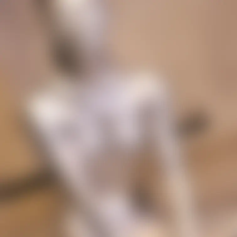 【あの超かわいいアイドル級美女のセクシー銀粉メッシー】
 これまで数回色々なメッシーに挑戦してきてくれたアイドル級の美