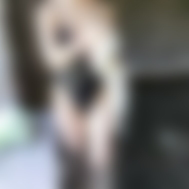 水着着用の混浴温泉に行きました❤男の人にお股のところいっぱい見られました❤恥ずかしかったけどかなり興奮しました❤
こち