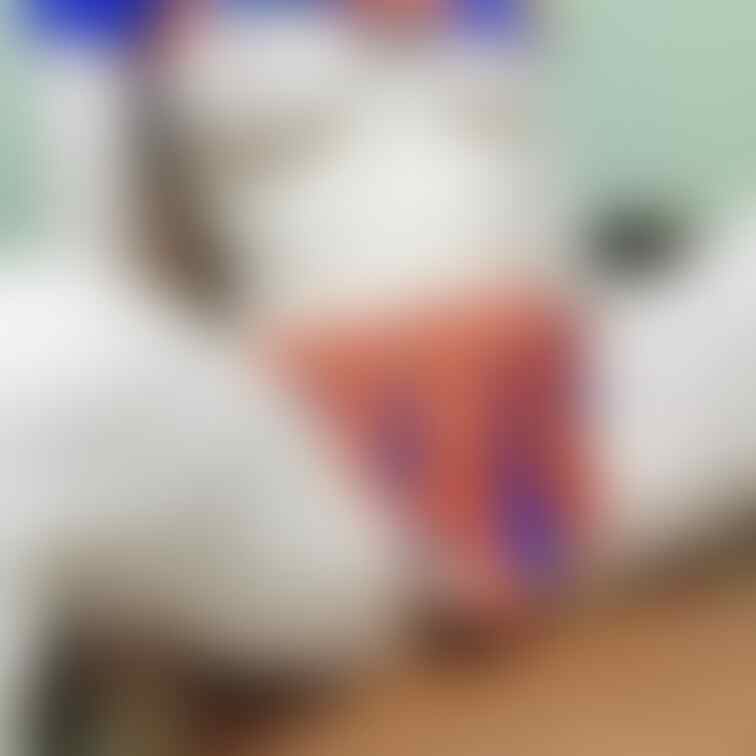 何か見える...?