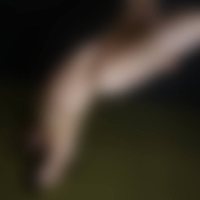 なんにせよすけべな角度と言うものがありまして。