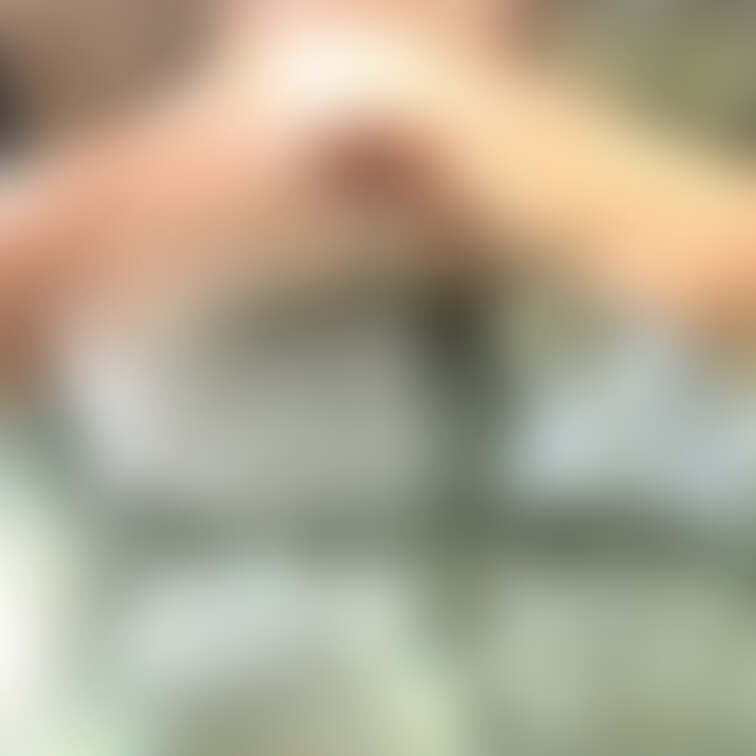 島があります‼️